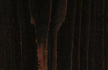 Black Walnut Fence Stain