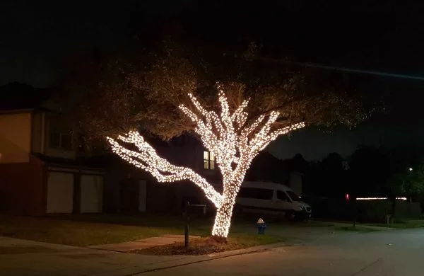 holiday lighting Kingwood TX tree wrapping